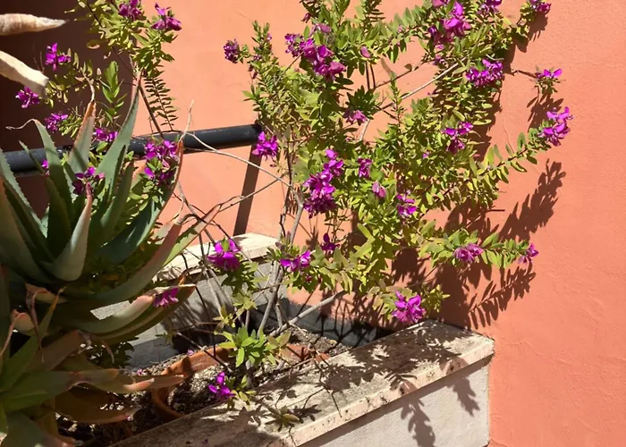 Appartement Monolocale Con Piscina